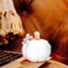 A close-up shot of a small, white decorative fabric pumpkin resting on the corner of a laptop keyboard against a cozy, warm brown background with a fringed blanket.